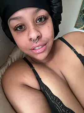 nintendhoe's Webcam Show