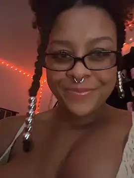nintendhoe's Webcam Show