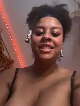 nintendhoe's Webcam Show