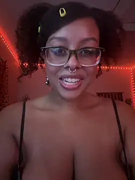 nintendhoe Show in webcam