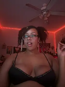 Show webcam de nintendhoe
