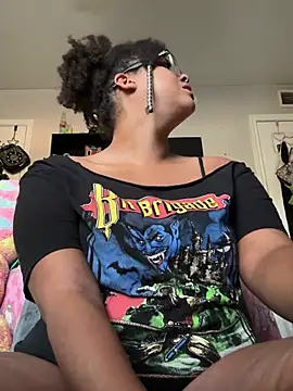 nintendhoe's Webcam Show