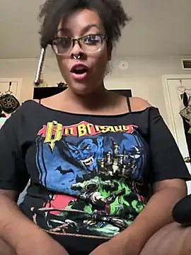 nintendhoe's Webcam Show