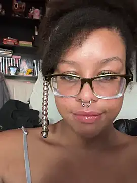 nintendhoe's Webcam Show