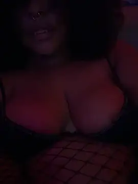 nintendhoe's Webcam Show