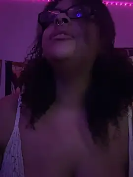 nintendhoe's Webcam Show