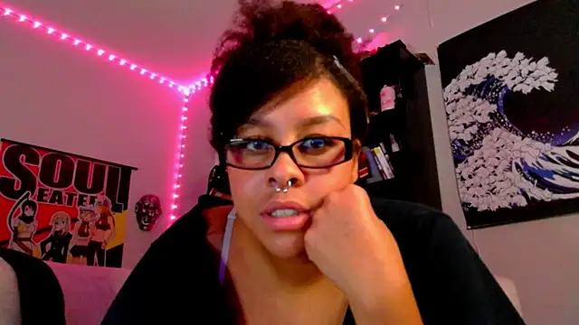 nintendhoe's Webcam Show