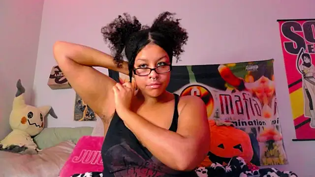 nintendhoe's Webcam Show