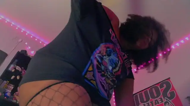 nintendhoe's Webcam Show