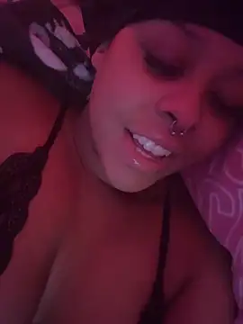 nintendhoe's Webcam Show