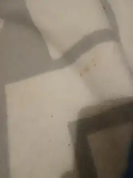 Webkamerová show Espa69