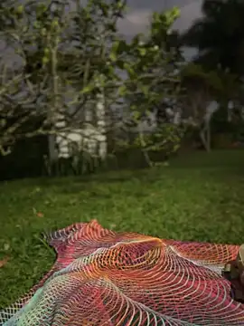 Show webcam de sahorix1