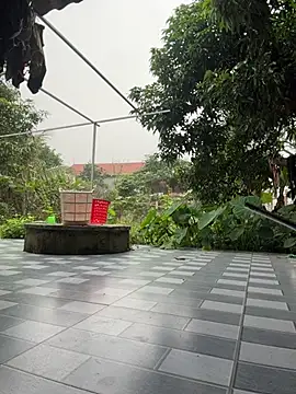 Naughty___asiann Webbikameraesitys