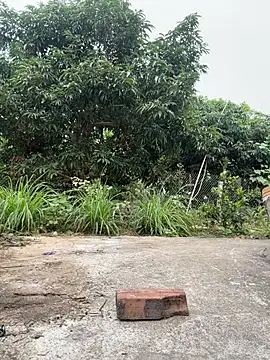 Webkamerová show Naughty___asian