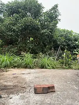 Naughty___asian Webcam Show