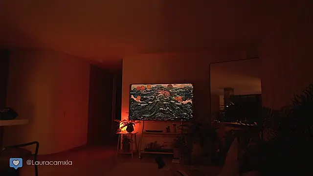 Colouristic webcam show