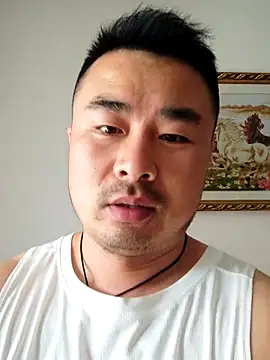 Show webcam de guozuo