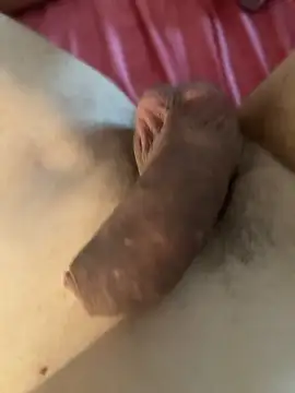 CALIPPONE Webcam show
