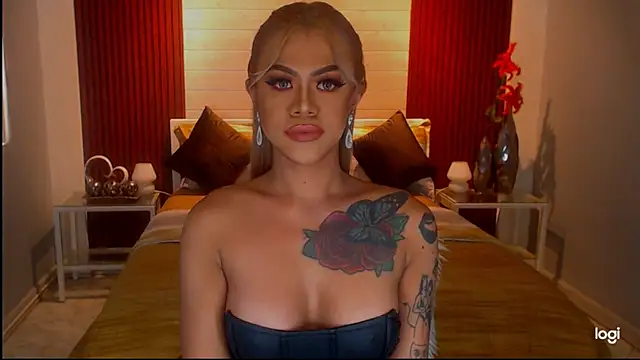 StellaStrong30n Webbikameraesitys