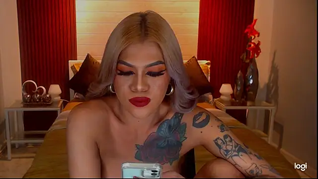 StellaStrong30n Webbikameraesitys