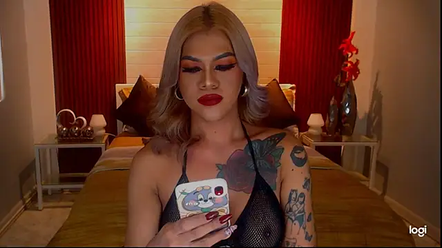 StellaStrong30n Webbikameraesitys