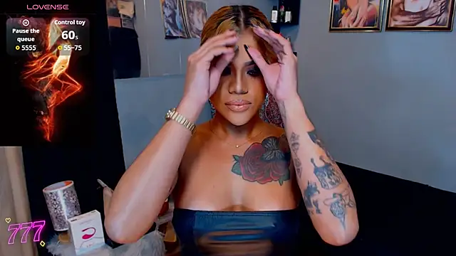 StellaStrong30n Webbikameraesitys