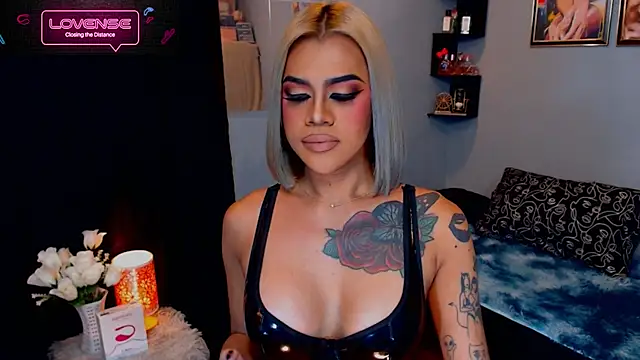 StellaStrong30n Webbikameraesitys