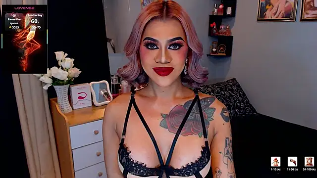 StellaStrong30 Show Webcam