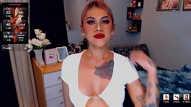 StellaStrong30 Show Webcam