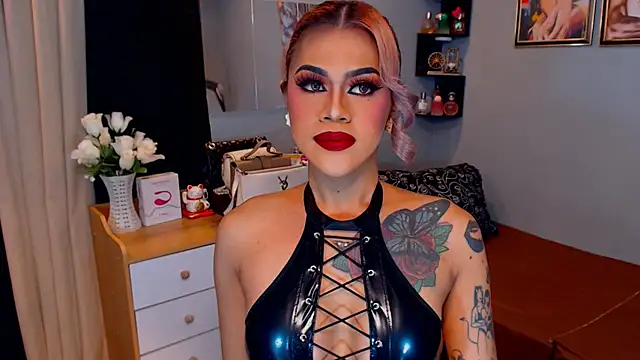 StellaStrong30n Webbikameraesitys