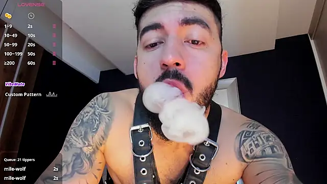 عرض كام MarkWalker__