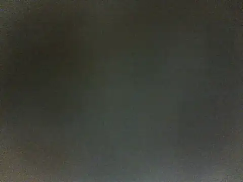 Вебкам-шоу DanOnCam