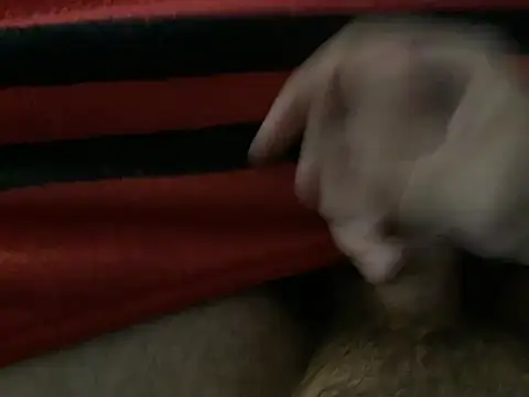 northcock87 网络视讯表演
