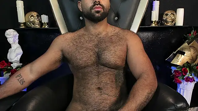 BeardAndrewのウェブカメラショー