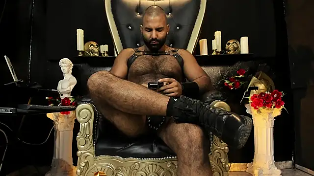 BeardAndrew Webcam Show