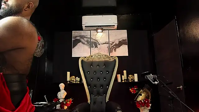 BeardAndrew Show in webcam