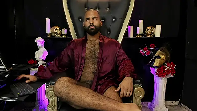 BeardAndrew Show in webcam
