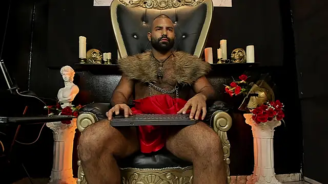 BeardAndrew's Webcam Show