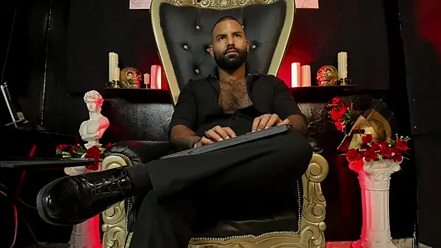 BeardAndrew Show Webcam