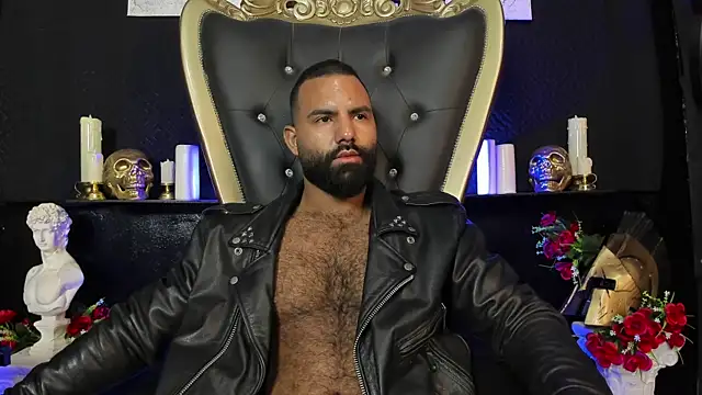 BeardAndrew's Webcam Show