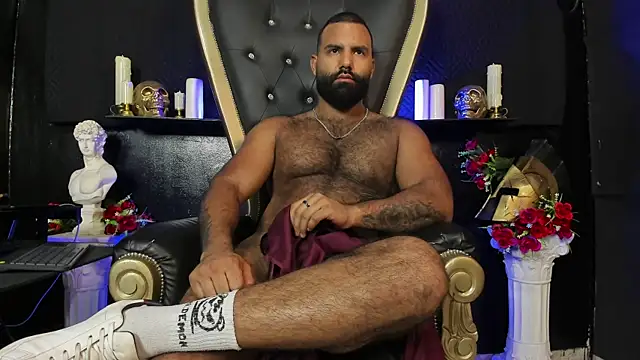 BeardAndrew Show Webcam