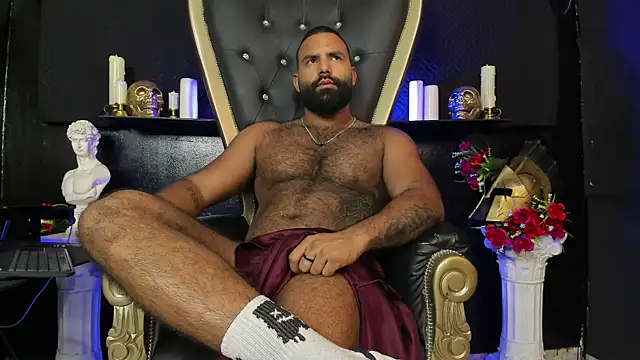 BeardAndrew's Webcam Show