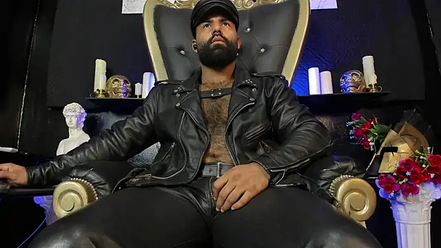 عرض كام BeardAndrew