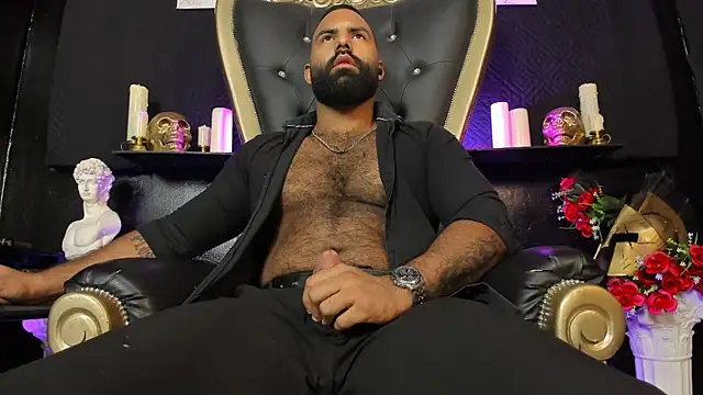 عرض كام BeardAndrew