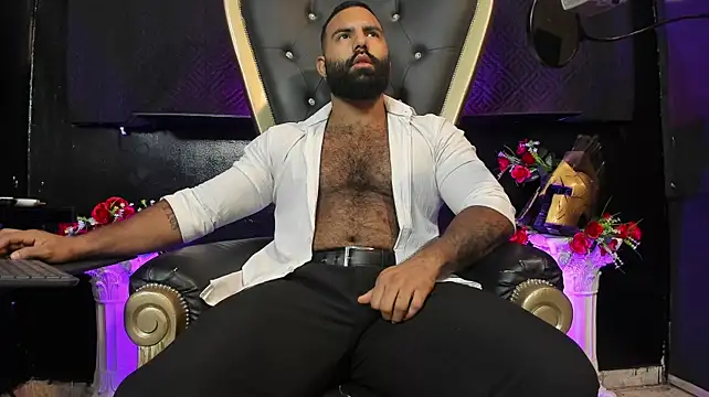 BeardAndrew's Webcam Show