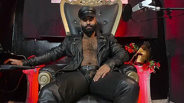 BeardAndrew's Webcam Show