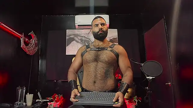BeardAndrew Show in webcam