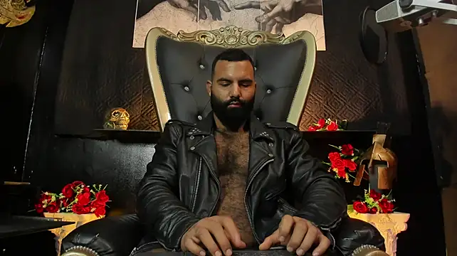 הופעת וובקאם של BeardAndrew