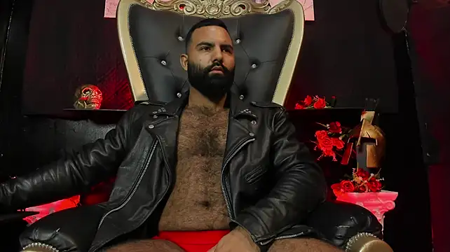 عرض كام BeardAndrew
