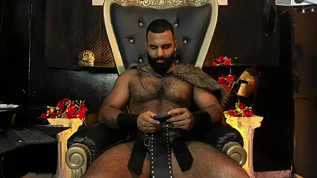 BeardAndrew Show Webcam